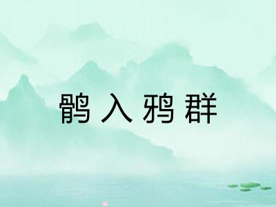 鹘入鸦群