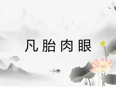 凡胎肉眼