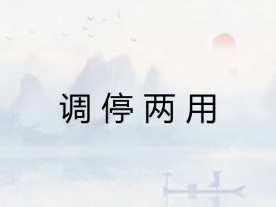 调停两用