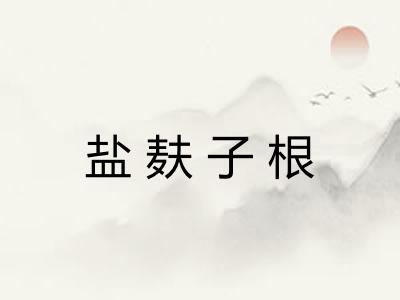 盐麸子根