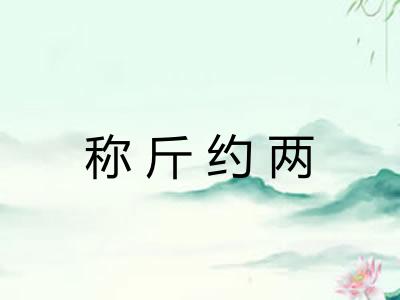 称斤约两