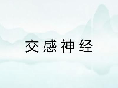交感神经