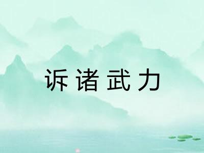 诉诸武力