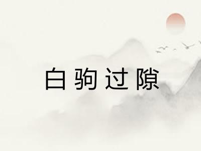 白驹过隙