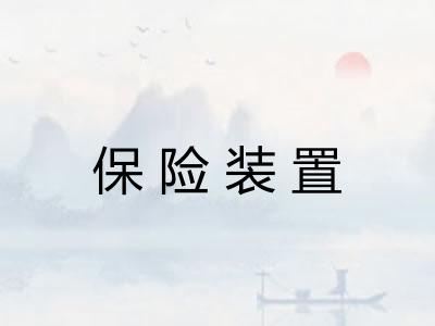 保险装置 保险装置
