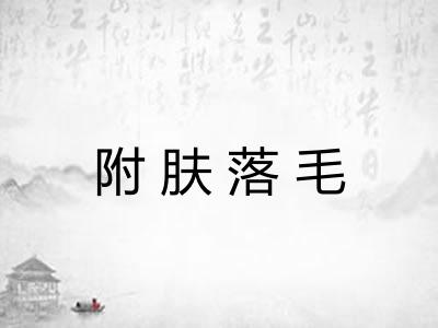 附肤落毛
