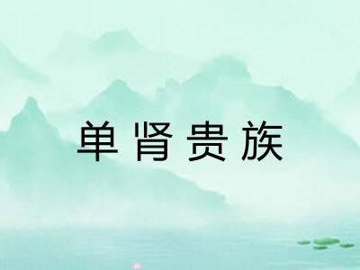 单肾贵族