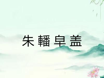 朱轓皁盖