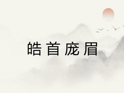 皓首庞眉