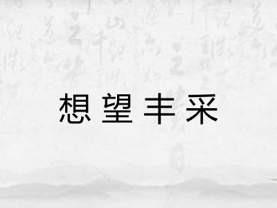 想望丰采