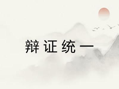 辩证统一