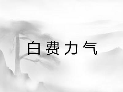 白费力气