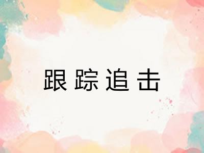 跟踪追击