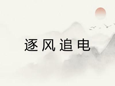 逐风追电