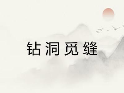 钻洞觅缝