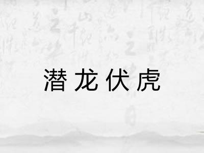 潜龙伏虎
