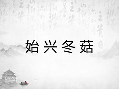 始兴冬菇