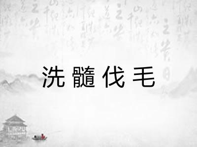 洗髓伐毛