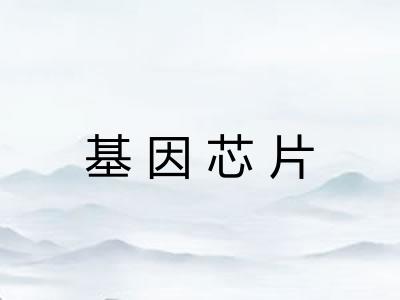 基因芯片