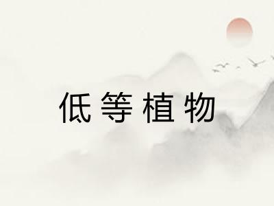 低等植物