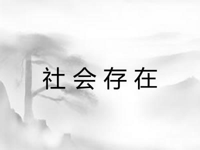 社会存在