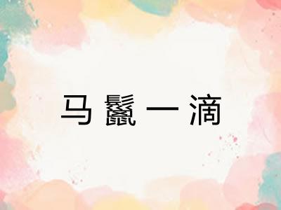 马鬣一滴