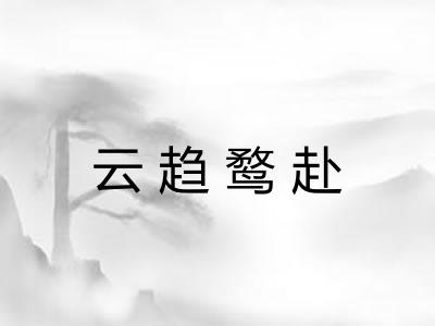 云趋鹜赴