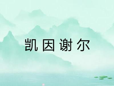 凯因谢尔