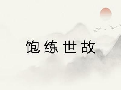 饱练世故