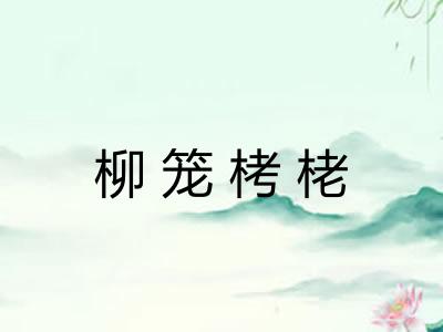 柳笼栲栳 柳笼栲栳