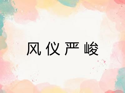 风仪严峻