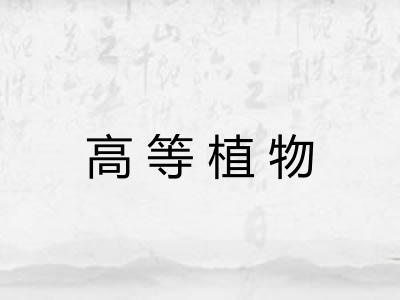 高等植物