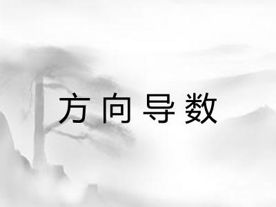 方向导数