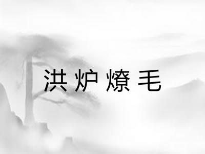 洪炉燎毛