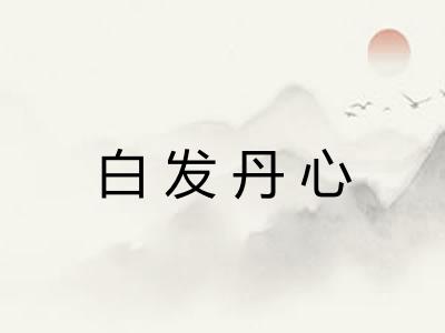 白发丹心