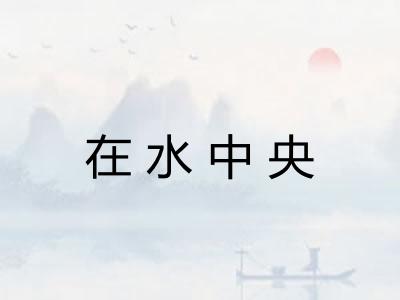 在水中央