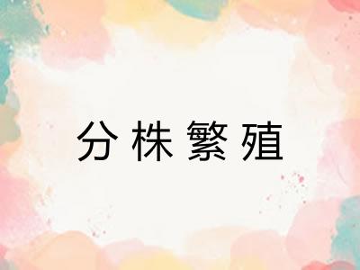 分株繁殖