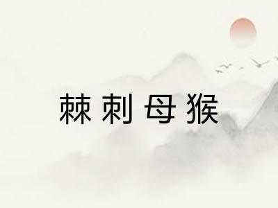 棘刺母猴