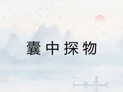 囊中探物