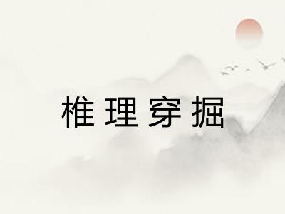 椎理穿掘