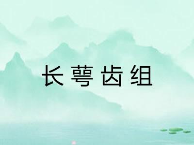 长萼齿组