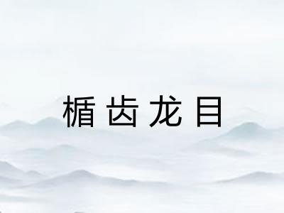 楯齿龙目