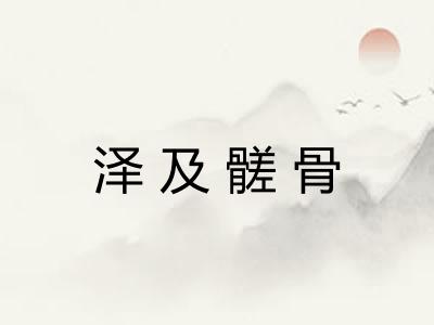 泽及髊骨