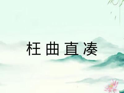 枉曲直凑