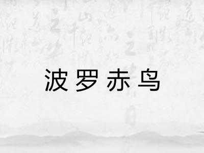波罗赤鸟 波罗赤鸟