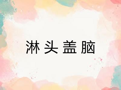 淋头盖脑