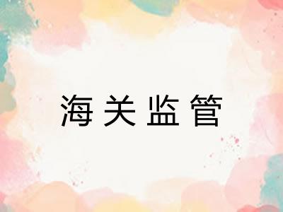 海关监管