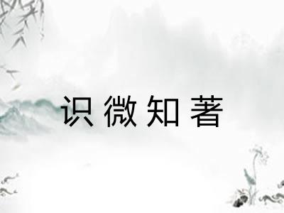 识微知著