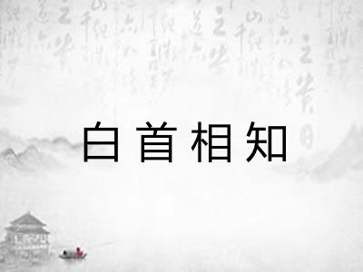 白首相知