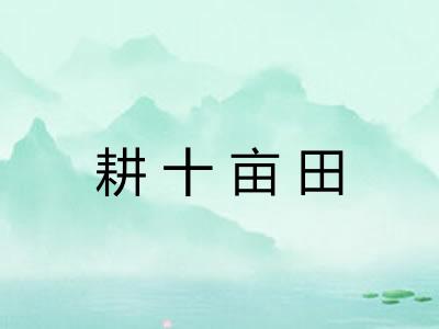 耕十亩田